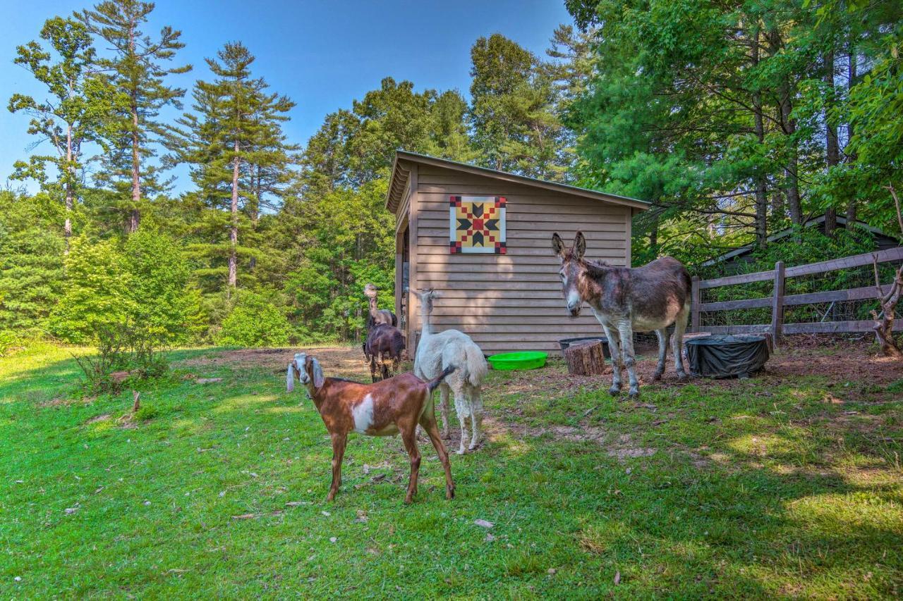 Rustic Hendersonville Farm Studio With Private Deck Extérieur photo